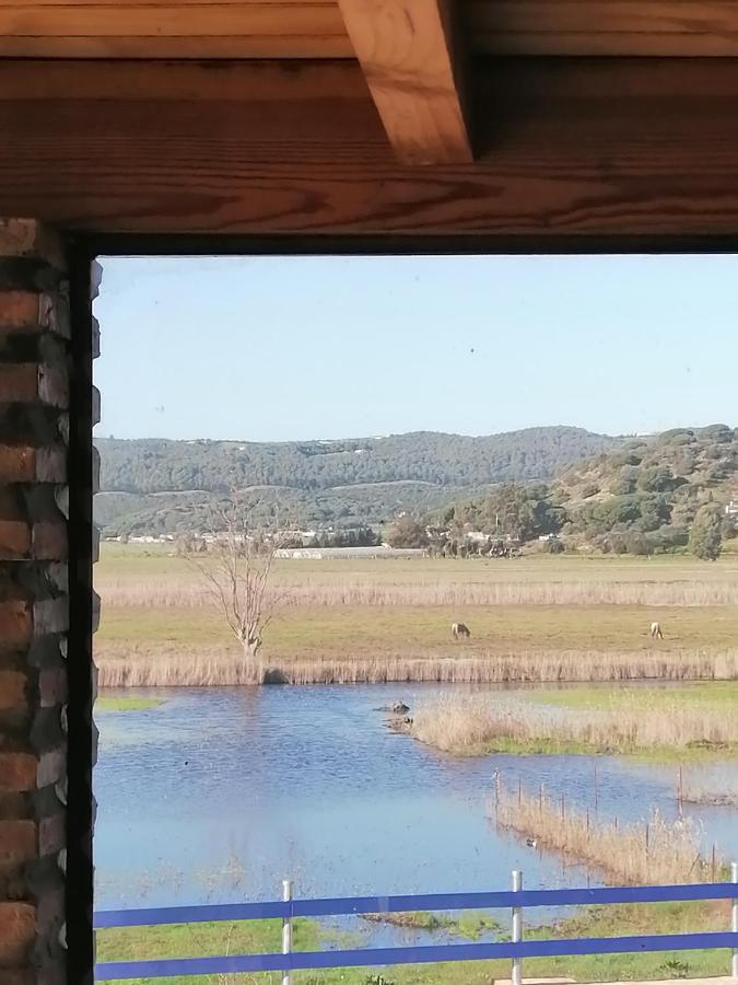 Casa Los Ibis Villa Vejer de la Frontera Eksteriør bilde